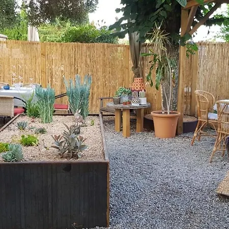 Pitu Ferriol Montrás